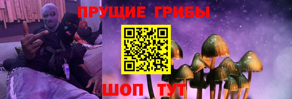 Галлюциногенные грибы мухоморы  Вход с VPN  Красноуфимск 